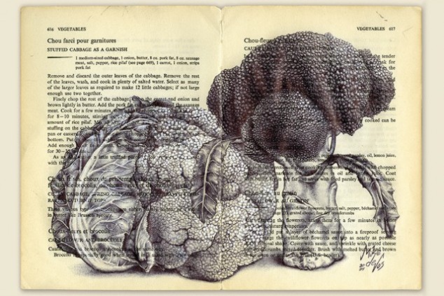 Mike de Vos illustraties